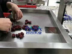 垂直食品包装機 CP01