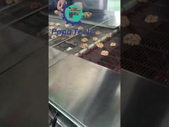 チョコレートコーティングされたクルミ